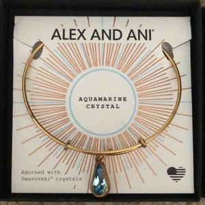 Alex and Ani Charm Bracelet